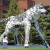 Wolf (Moose and Wolf), Minneapolis