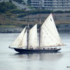 Bluenose II in Halifax Harbor
