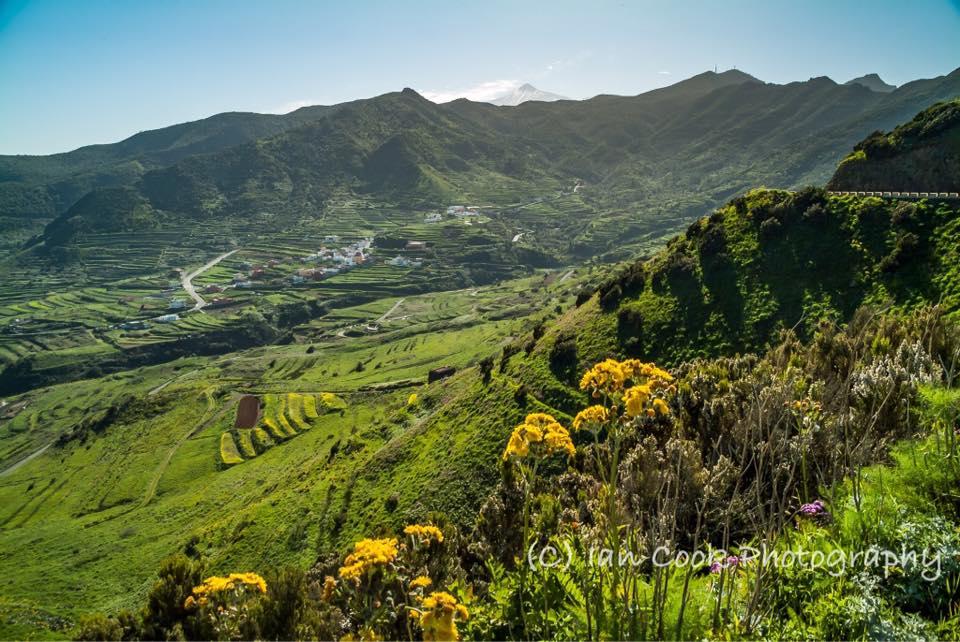 Farming terraces near Teno, Tenerife, Canary Islands
