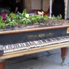 New life for an old piano