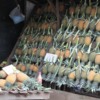 Roadside produce stand, Sri Lanka -- pineapples were in season
