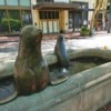 Bronze Sea Lions, Portland, Oregon