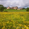 Alnwick Castle Northumberland. Early morning as the sunlight dances across the meadow.