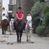 Getting around London:  Horse paths in the heart of the city