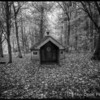 The little house in the forest. Alnwick Northumberland