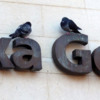 A bank for birds, Lisbon