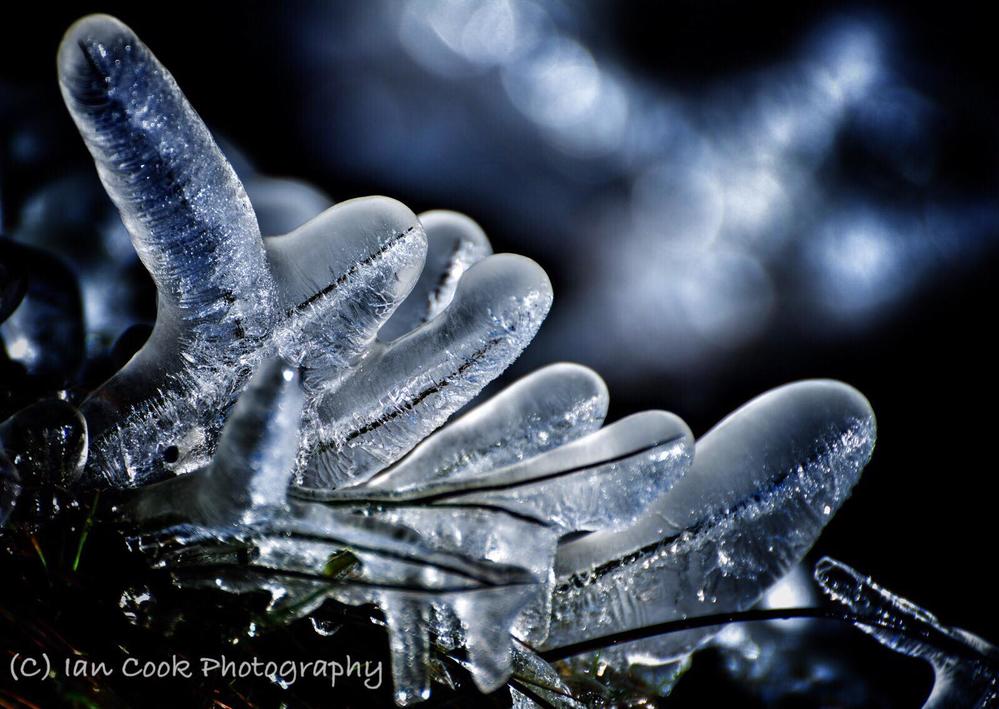 ‘Frozen Fingers ‘ Lownathwaite, Gunnerside Gill, Swaledale North Yorkshire.