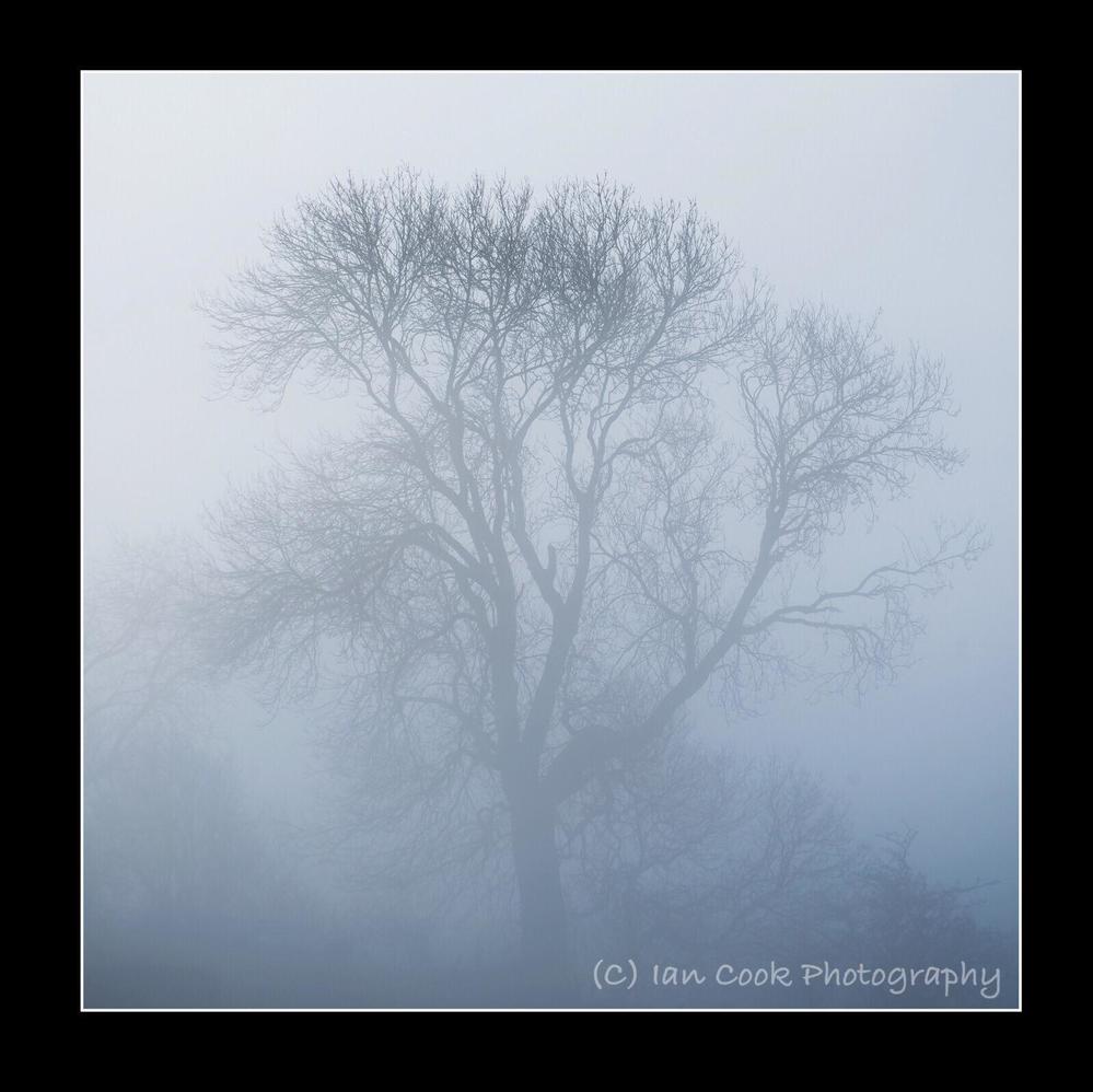 Misty Blue. Reeth Swaledale North Yorkshire.
