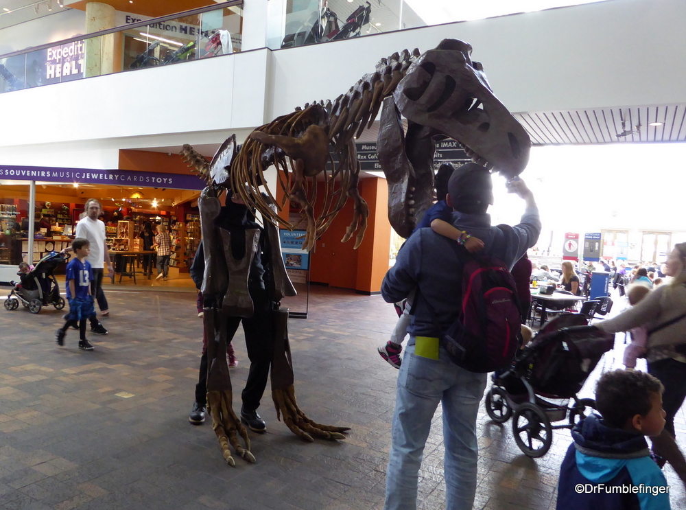 Walking T Rex, Denver Museum of Nature and Science