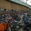 Amsterdam bikes galore!