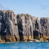 The Pinnacles, Staple Island, Farne Islands, Northumberland.