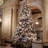 Holiday Decor, New York Public Library