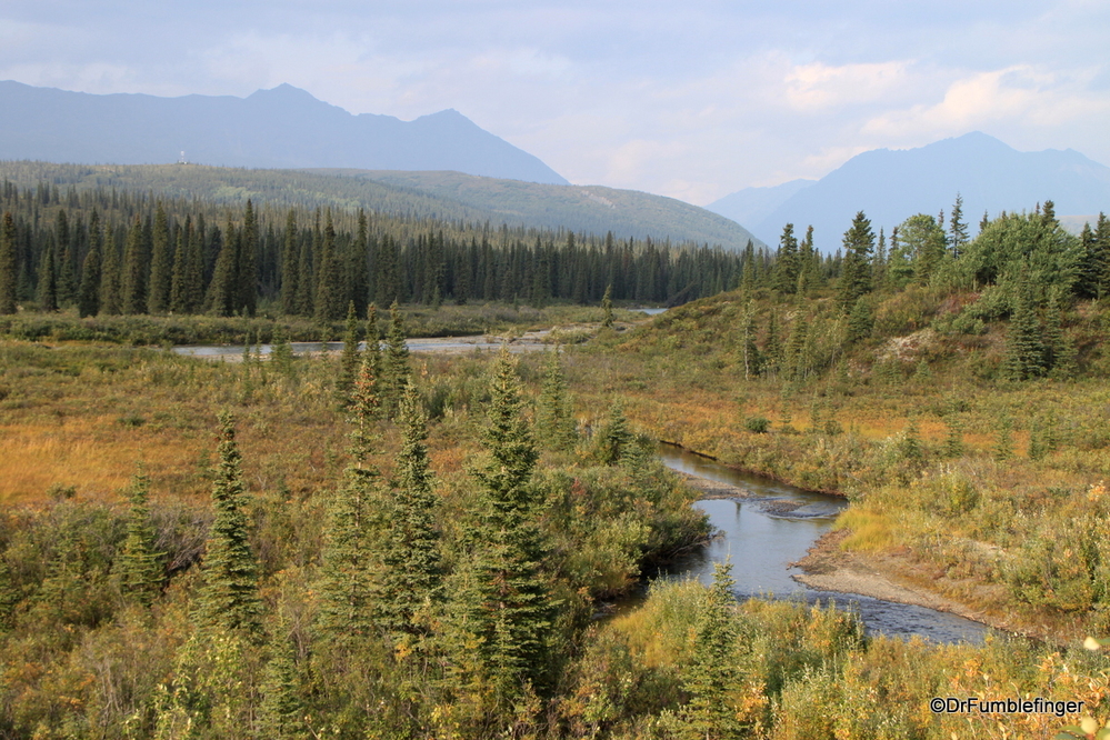 Some of the gorgeous scenery just south of Denali National Park