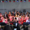 A celebration of Chinese Culture at the Kungstradgarden, Stockholm