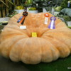 Prize-winning pumpkin, Alaska State Fair, Palmer