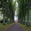 Grayfriars cemetery, Roskilde