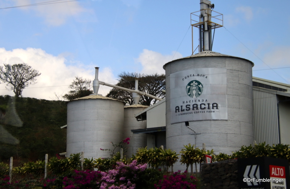 Starbuck's Alsacia Coffee Plantation, Costa Rica