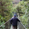 Crossing one of the Hanging Bridges in Monteverde, Costa Rica