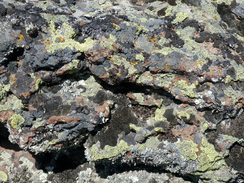 Colorful lichen pattern, Tolo Lake