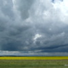 Approaching thunderstorm, near Nanton