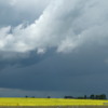 Approaching thunderstorm, near Nanton