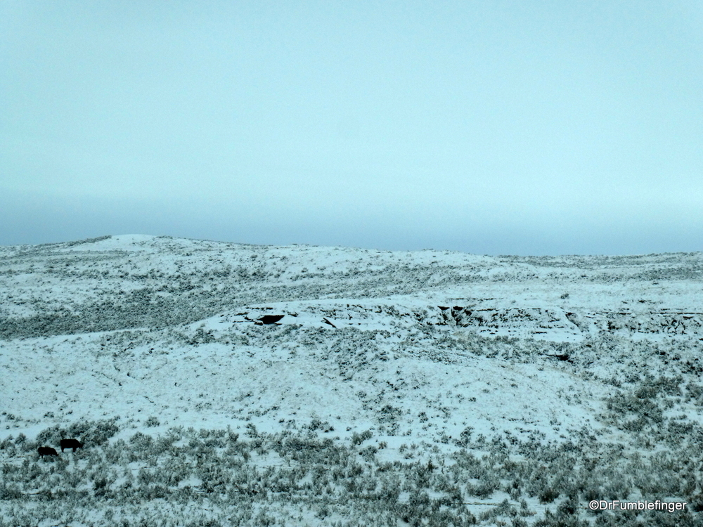 Fresh snow on the plains of Wyoming, mid-October