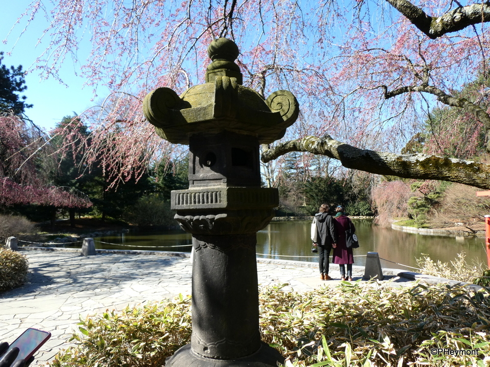 Japanese Lantern, Brooklyn Botanic Garden