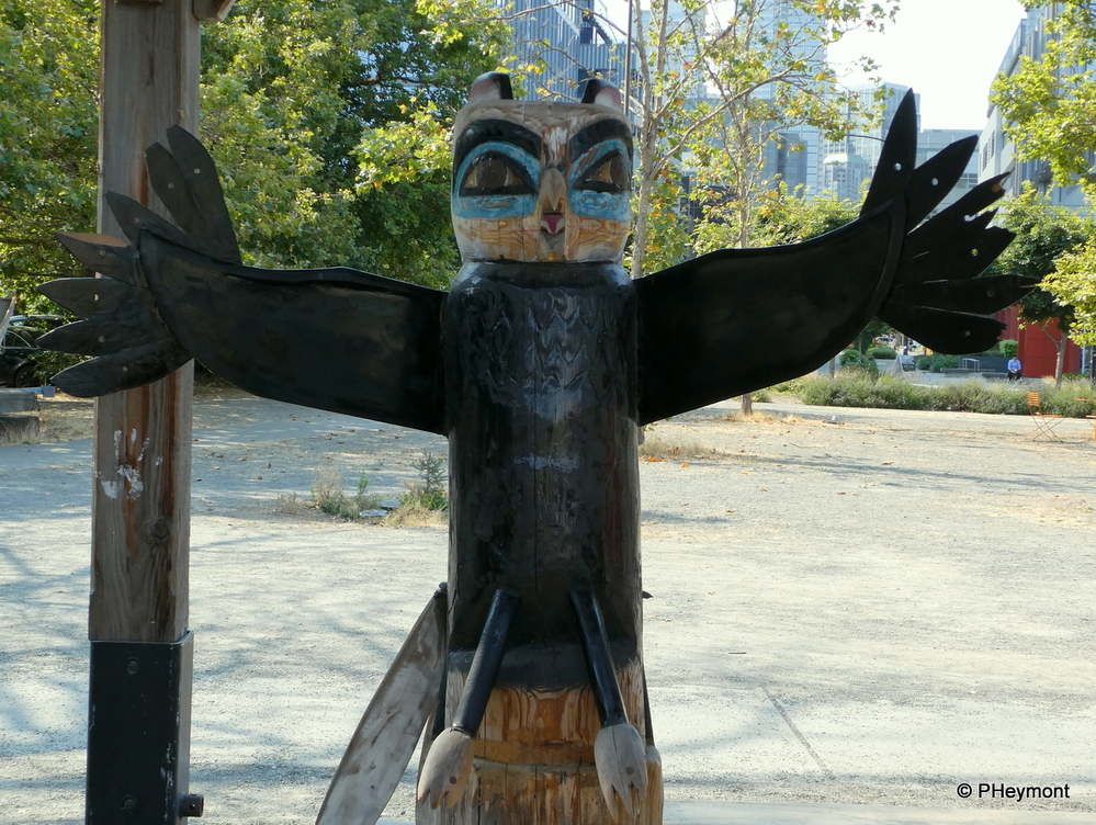 Owl on Patrol, Seattle