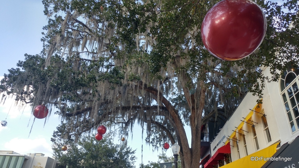Christmas decorations hanging with the Spanish Moss, Winter Park