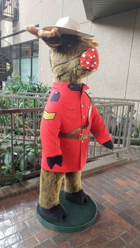 Even stuffed animals are still required to wear masks in Canada