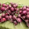 Fresh "bachus" radishes, Saturday Farmers' Market, Santa Fe