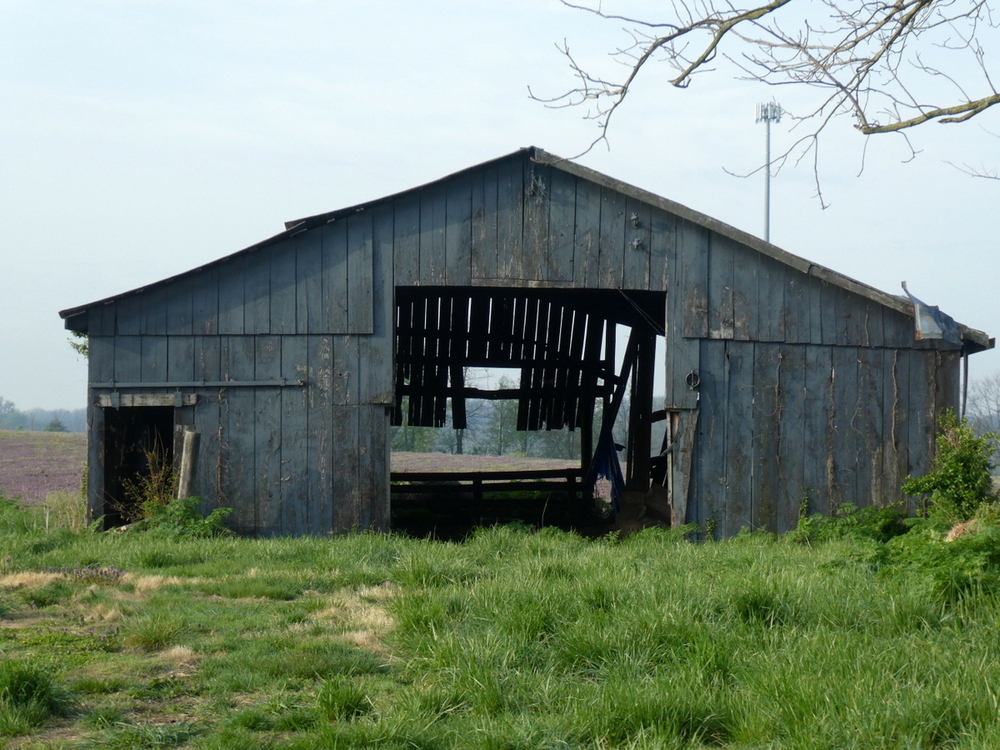Old barn, Kentucky