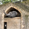 The Elephant in the Tower