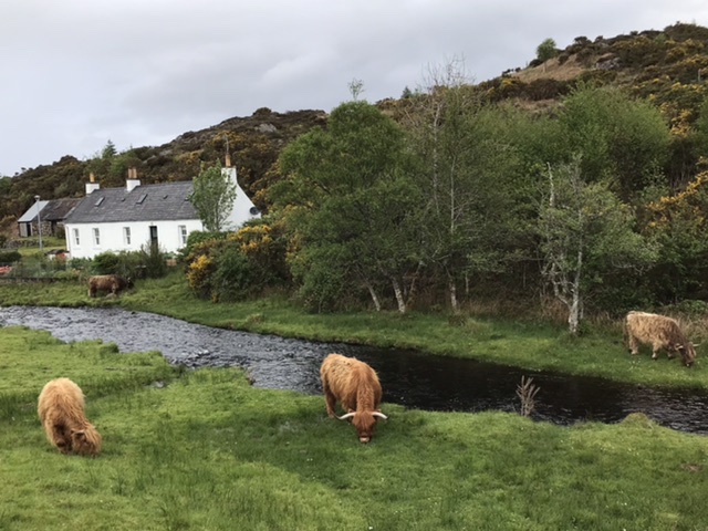A tranquil scene in the Scottish Highlands