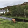 A tranquil scene in the Scottish Highlands