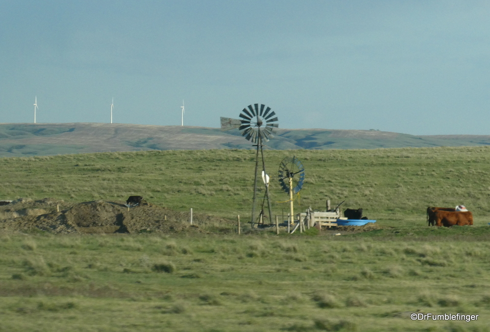 Prairie Windmills, Old and New
