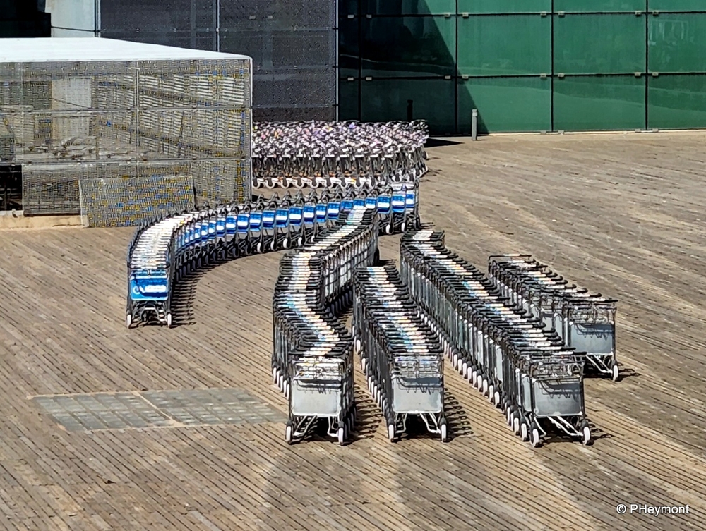 Carts...so many carts!