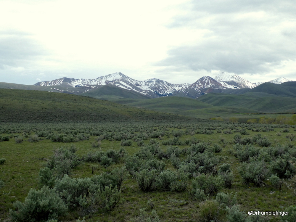 Beaverhead Mountains -- still snow covered -- with desert sage foreground