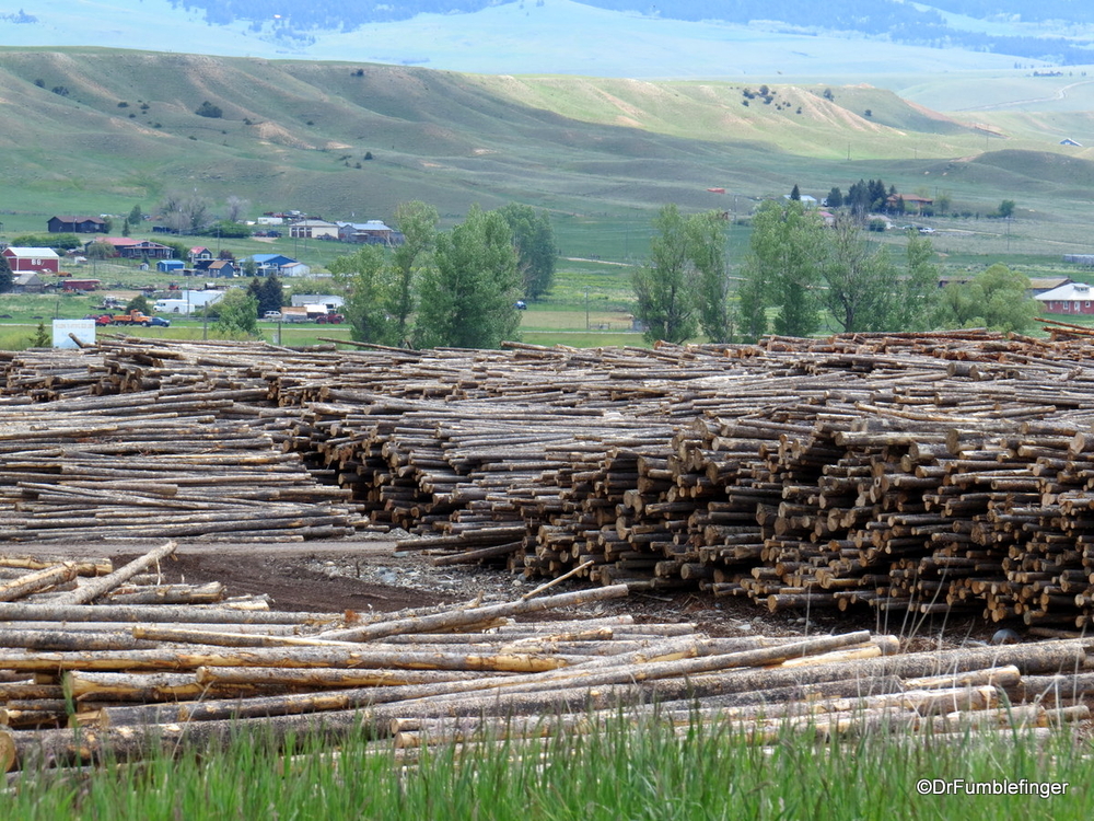 Logging is an important industry in Montana and Idaho