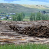 Logging is an important industry in Montana and Idaho