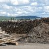 Lots of Lumber, Maine