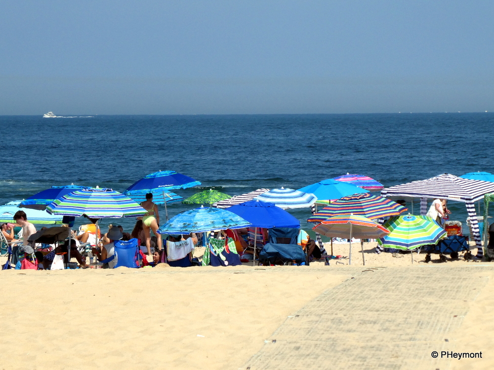Sand, Sea, Sky… and Umbrellas