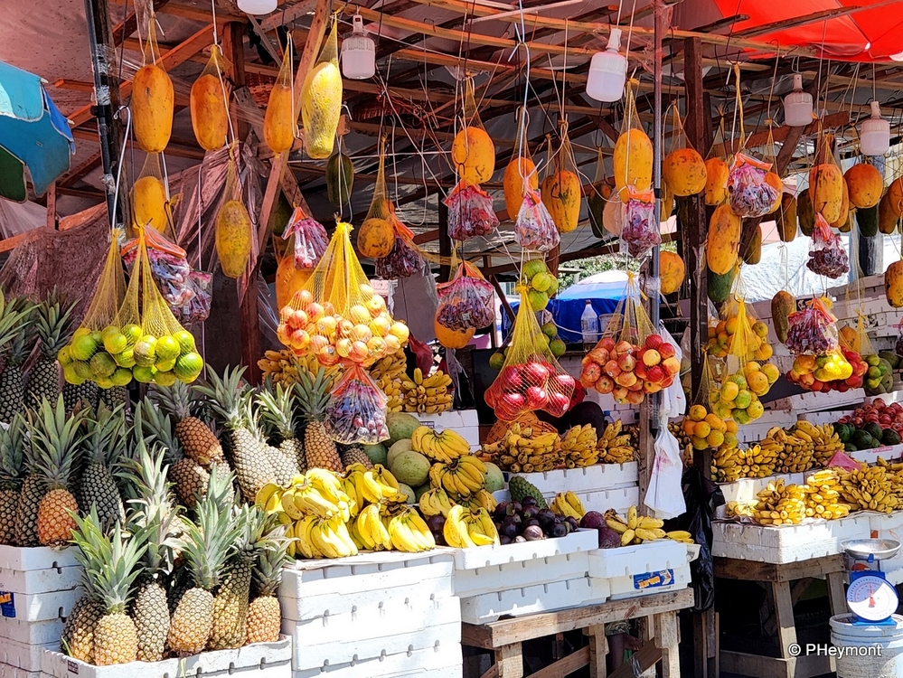 Fresh Tropical Fruit at Bourda Market