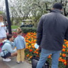 Families and Flowers, Brooklyn Botanic Garden