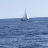 Lone yacht, Adriatic Sea