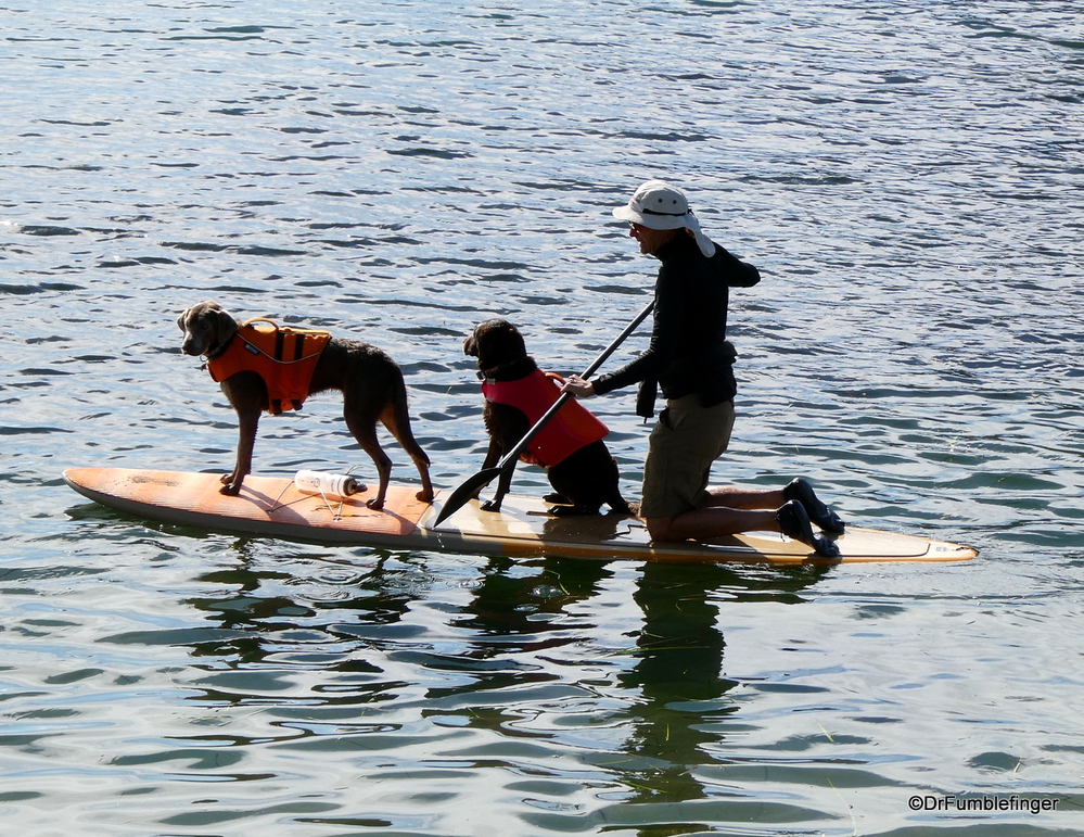 Paddling with friends, Morro Bay, California