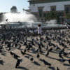 The pigeons have the run of the place.  Place Mohammed V, Casablanca
